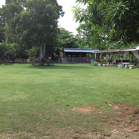 Penzion Chillax On Our Farm Ocho Rios Exteriér fotografie