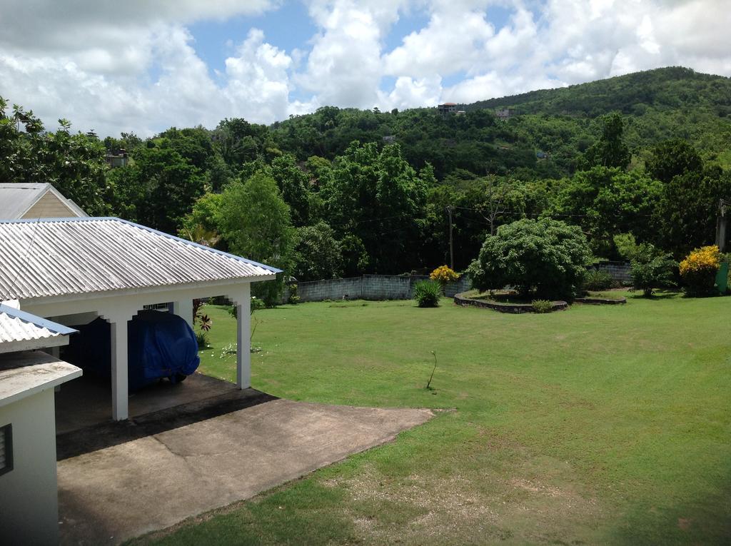 Penzion Chillax On Our Farm Ocho Rios Exteriér fotografie