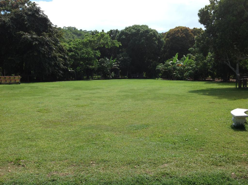 Penzion Chillax On Our Farm Ocho Rios Exteriér fotografie