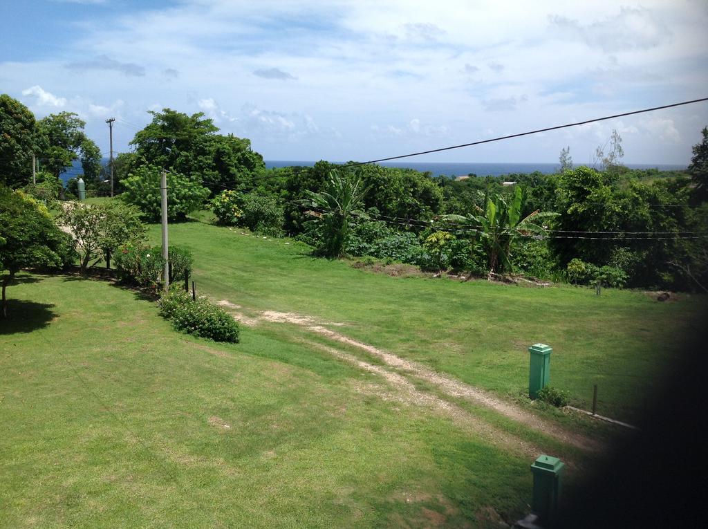 Penzion Chillax On Our Farm Ocho Rios Exteriér fotografie