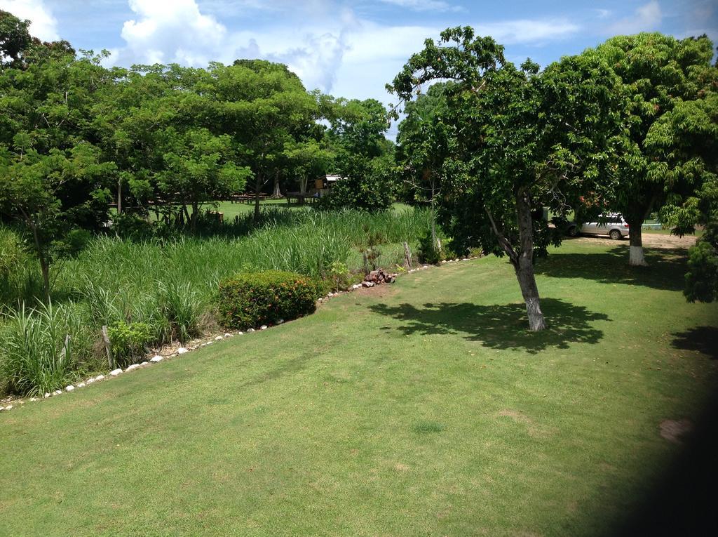 Penzion Chillax On Our Farm Ocho Rios Exteriér fotografie